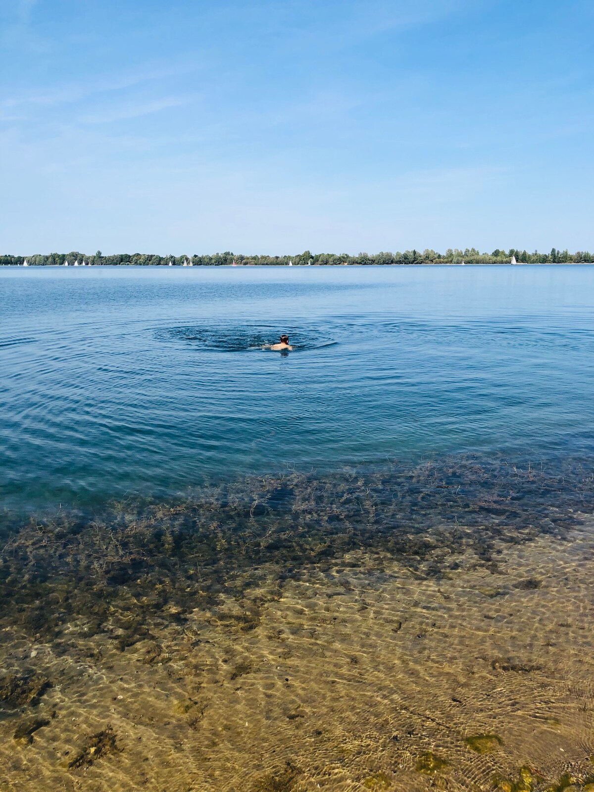 A clear blue lake is seen with gentle ripples created by a person swimming in the center. The shoreline features a sandy area leading to the water, with aquatic plants visible beneath the surface. Lush greenery is visible on the opposite bank.