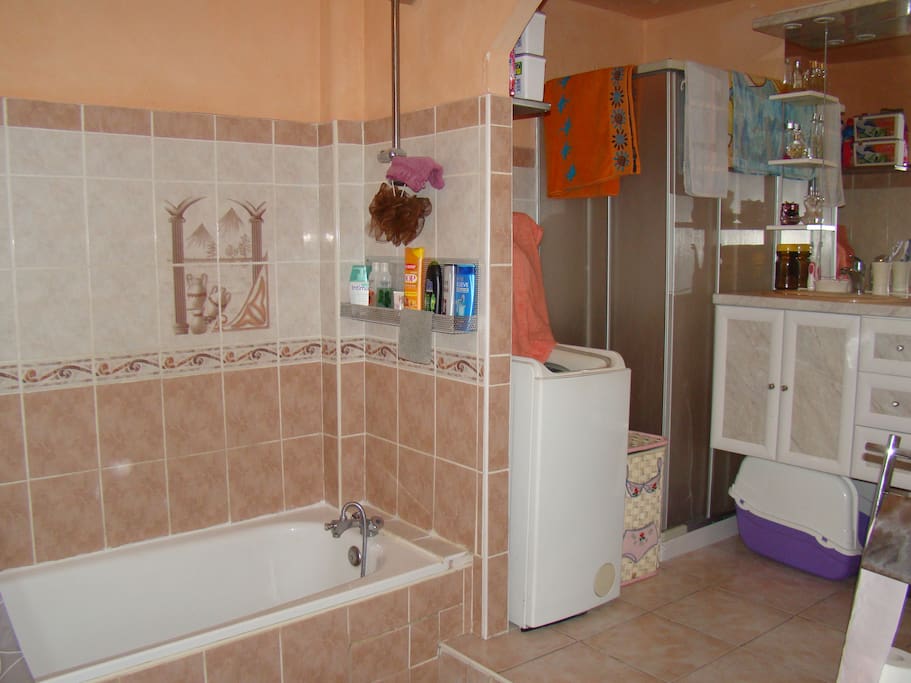 Salle de bains avec baignoire et douche et wc