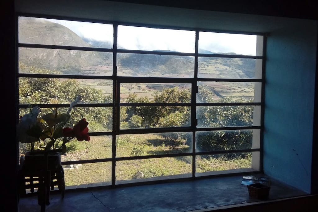 View from the living room bordering two of our 4 rooms.