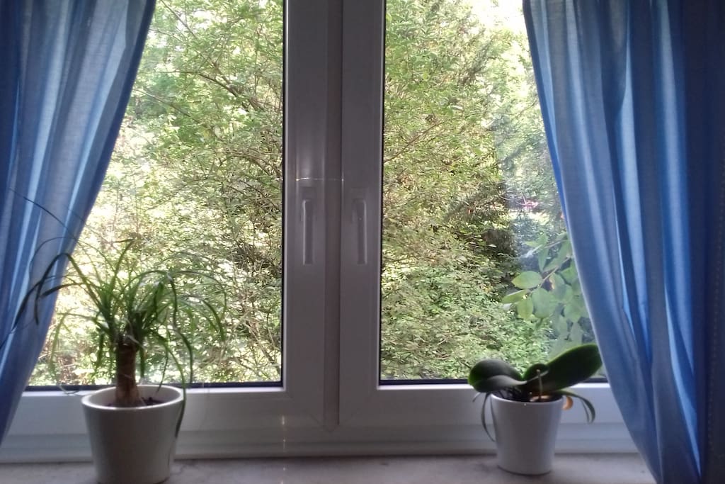 Ausblick