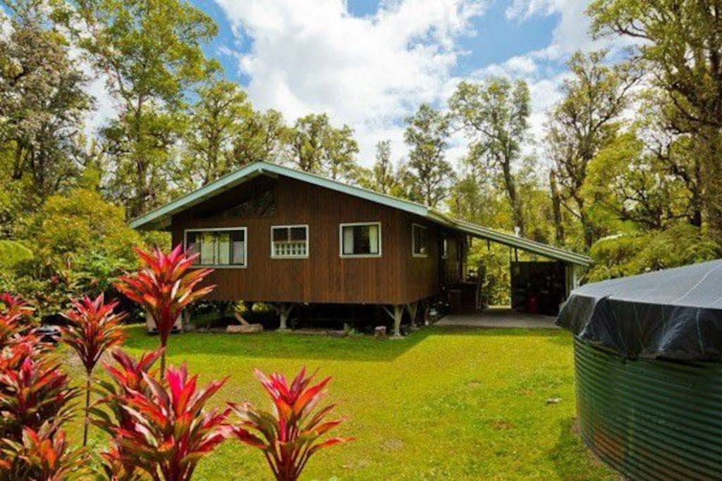 Surrounded by nothing but native Hawaiian forest, peace, and quiet.
