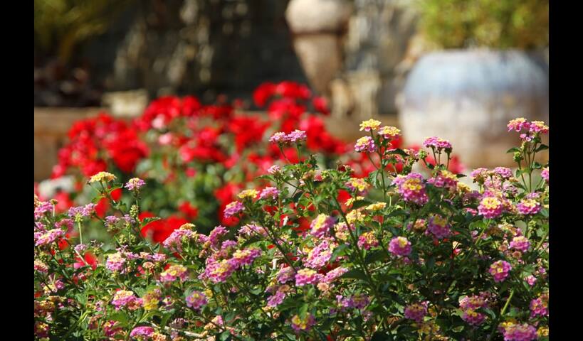 Privacy, silence and Mediterranean charm! gallery image 4