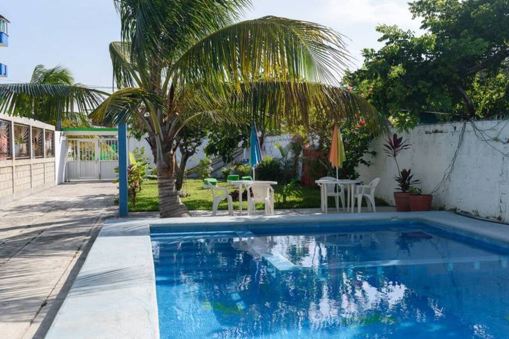 Pool area / Alberca