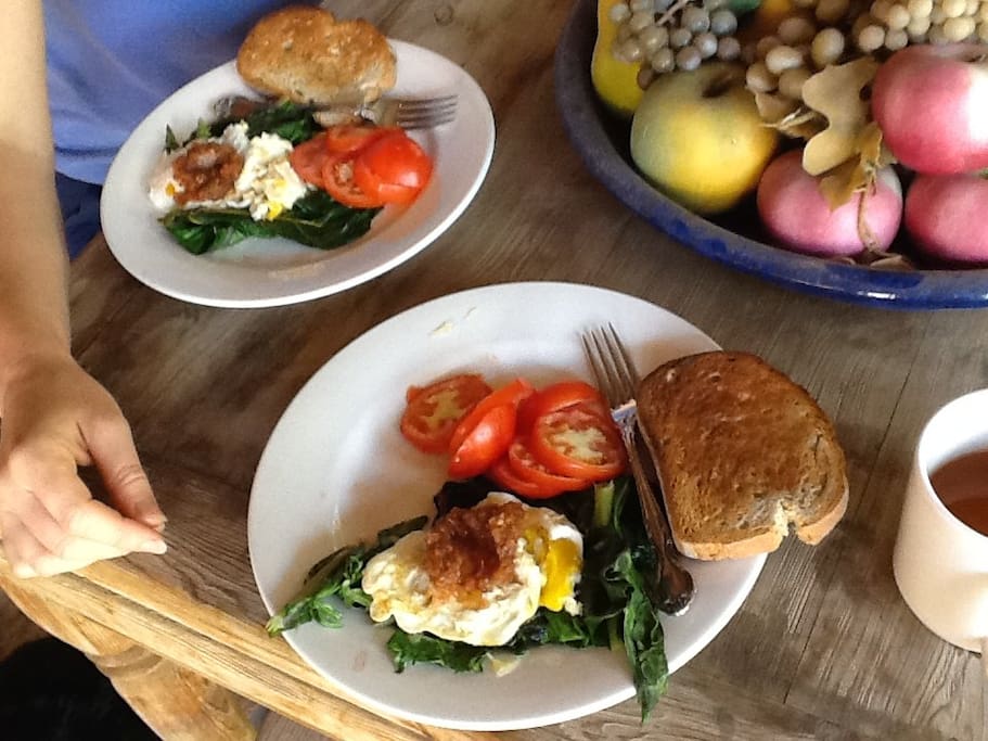 Except for the bread, this is a breakfast one of our Airbnb guests made entirely from our organic garden and chickens. Tomatoes, chard, organic eggs gathered from our hens this morning, and a pasta sauce I made from our tomatoes, eggplant, and peppers. The only thing missing is the grapefruit pulled off our trees and the freshly squeezed orange juice - all organic.