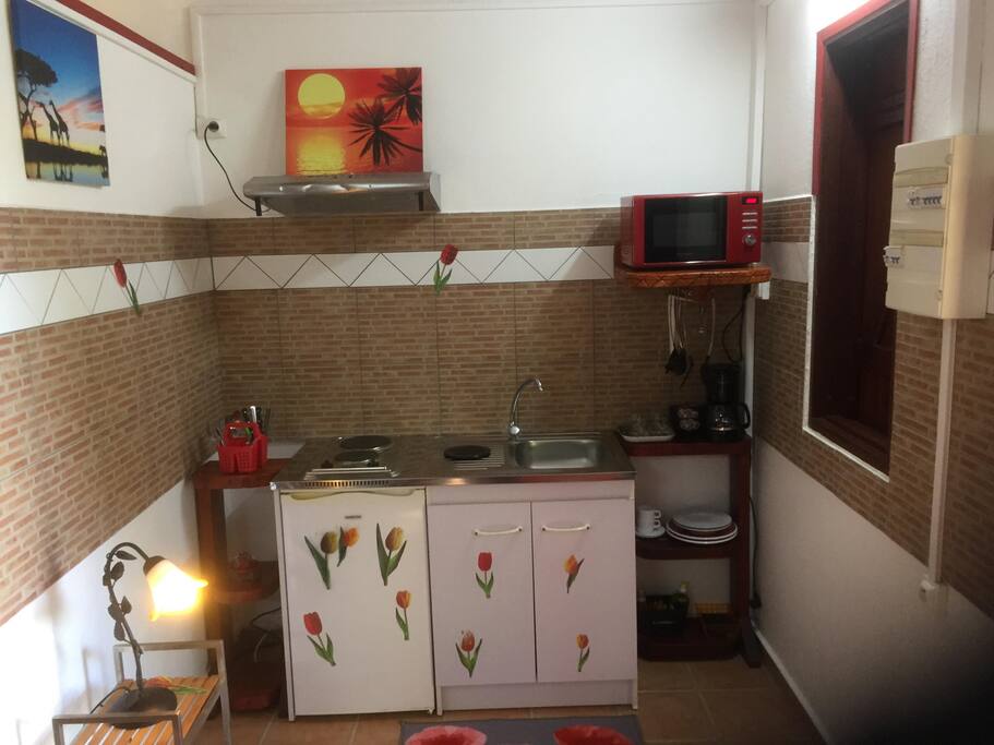 Une kichenette avec plaque de cuisson frigo, micro-ondes