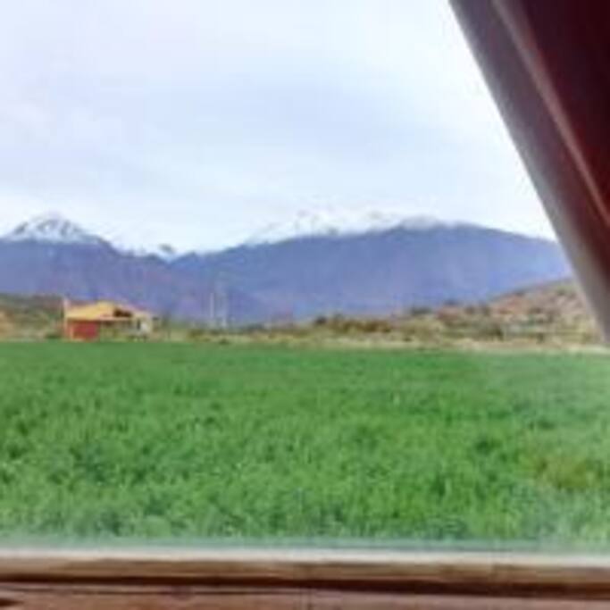 Vista desde el dormitorio.
