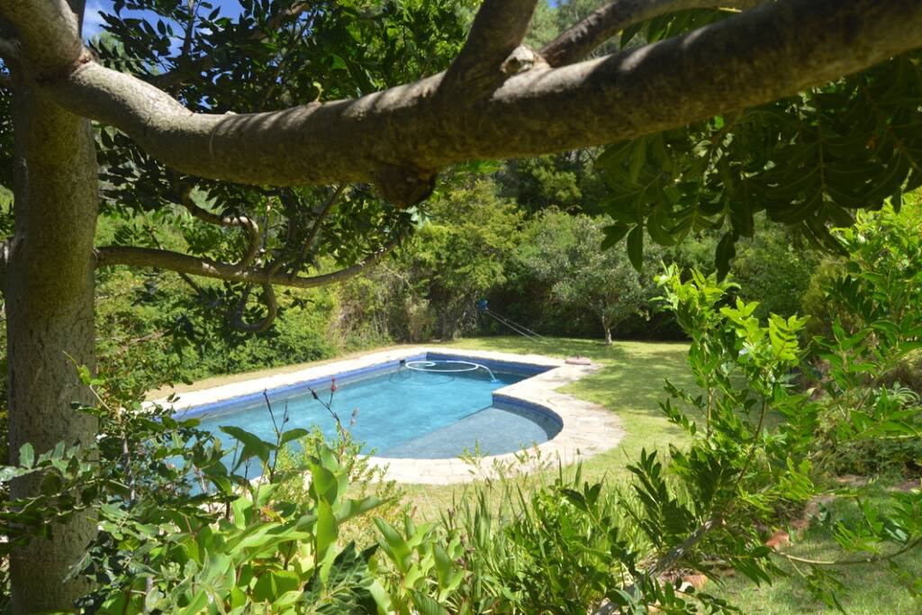 Secluded pool