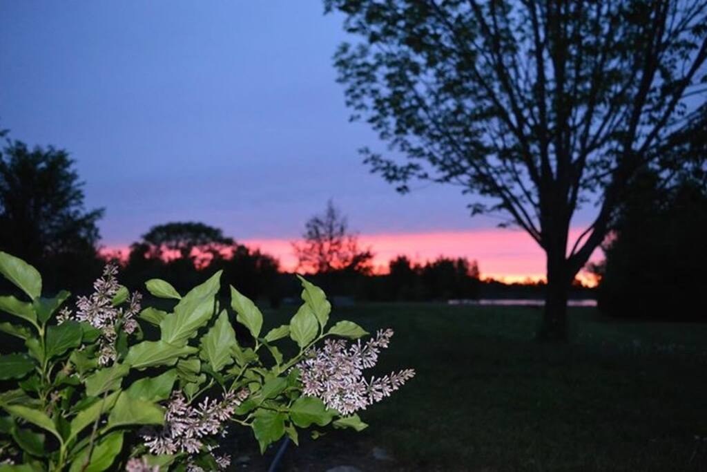 May-June on the homestead