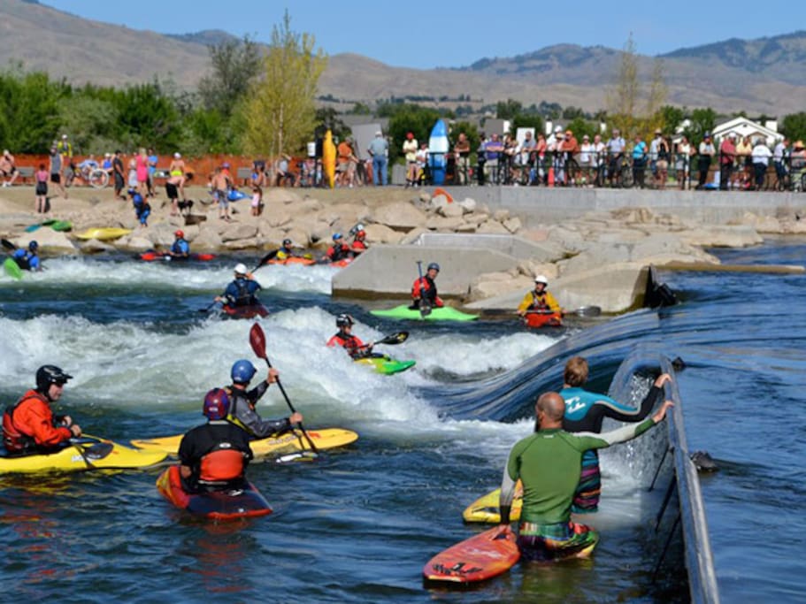 Boise River Wave....I am in the water! a hop, skip and a jump away!!!
