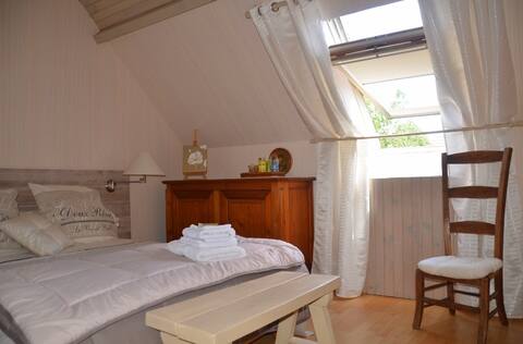 Chambre spacieuse vue jardin, accès Nantes centre.