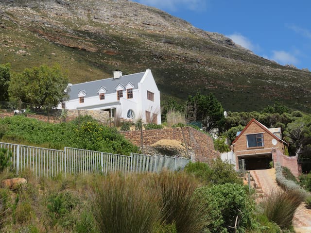 Phoenix Rising – Above Boulders Beach – Simonstown