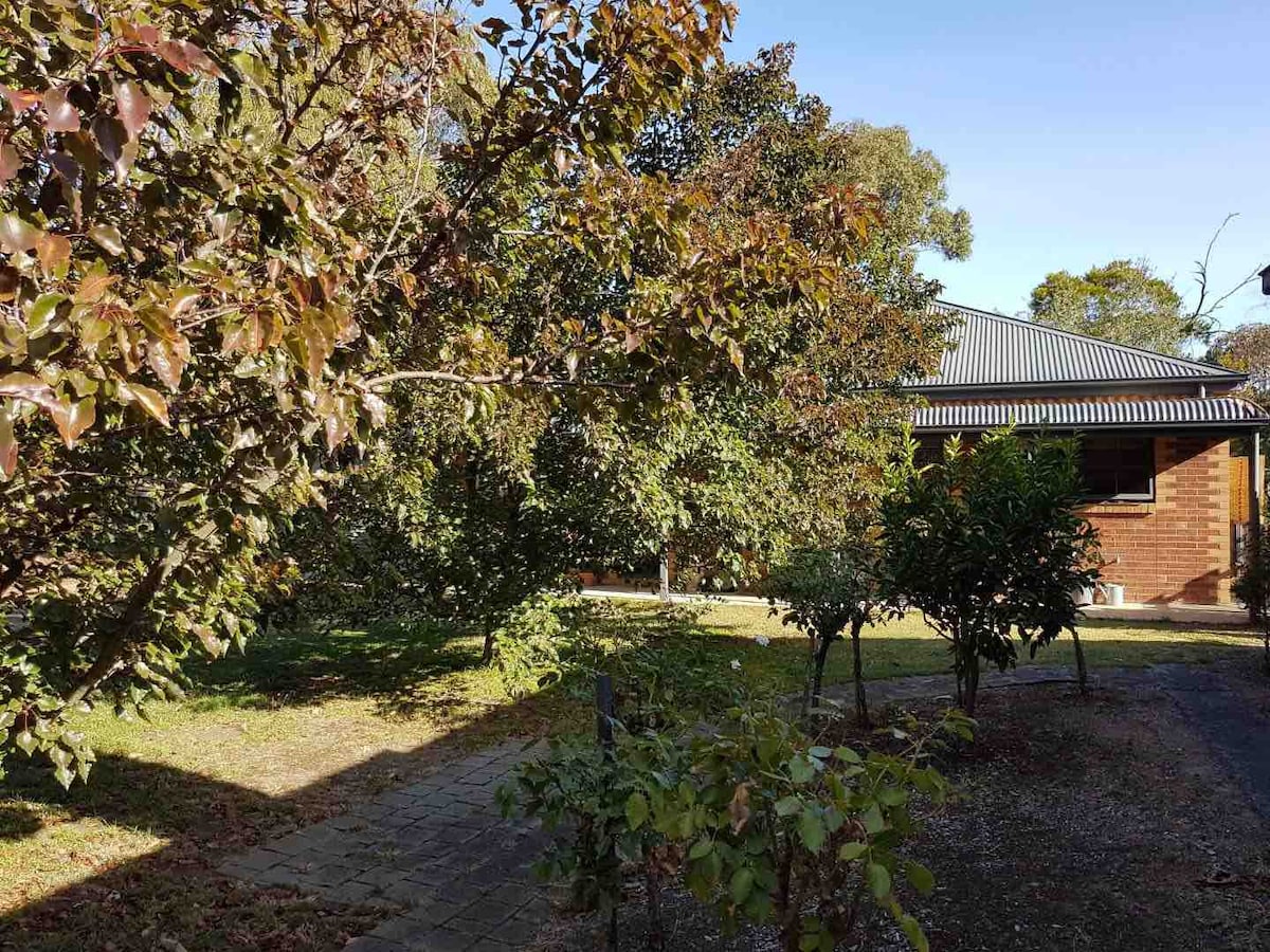 A serene outdoor setting is portrayed, featuring lush greenery and trees in full foliage. The cottage is seen in the background, framed by the natural surroundings, with sunlight filtering through the branches, creating a peaceful retreat atmosphere.