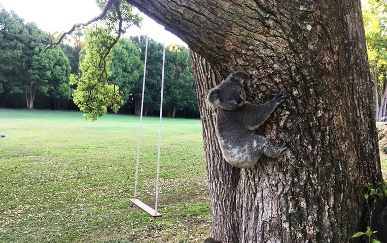 Sully’s Hinterland Retreat gallery image 5