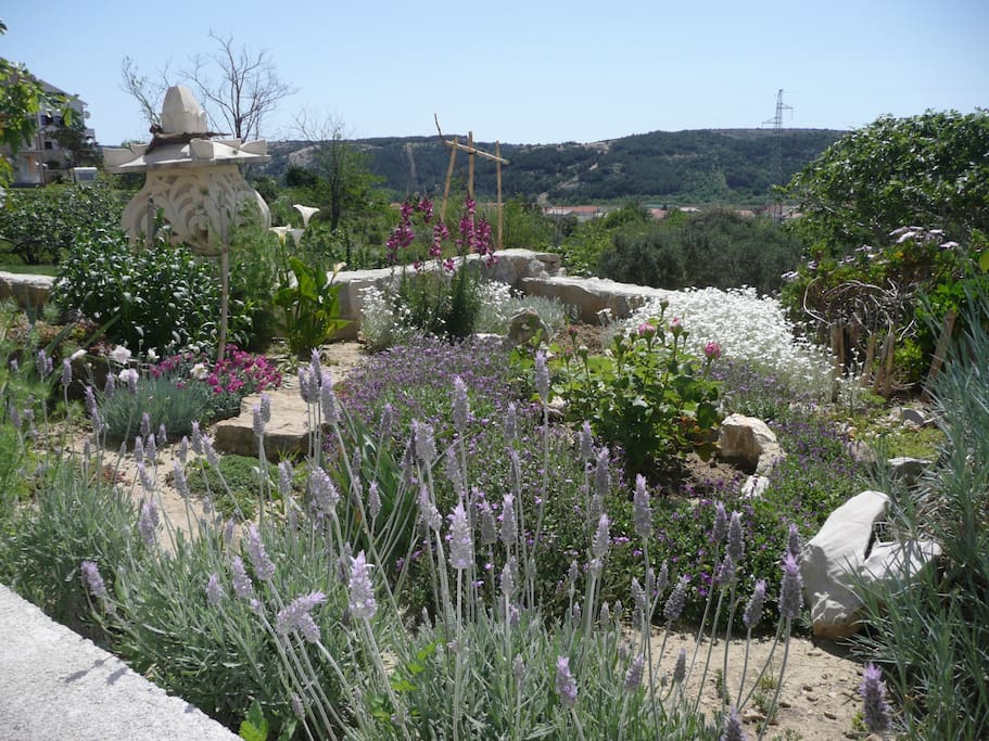 Garten