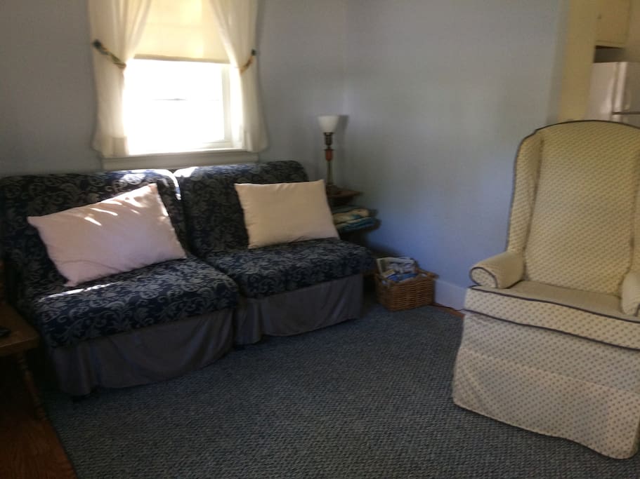 Living room with sleeper sofa