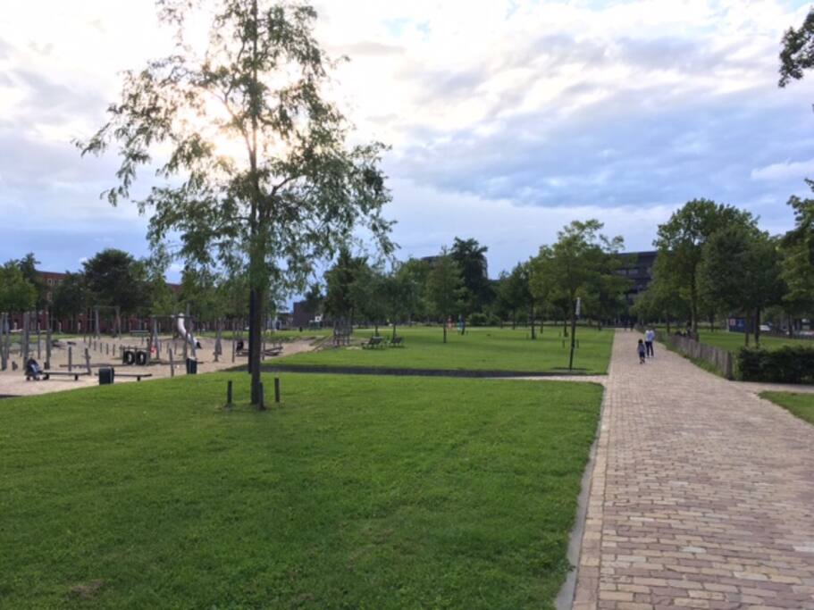 Park view