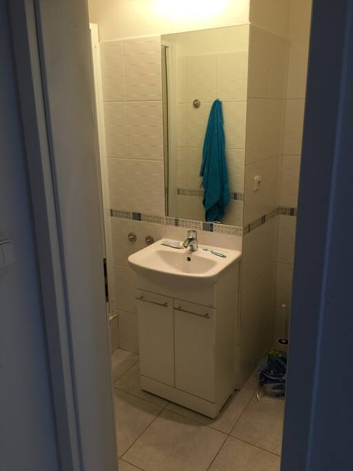 Half of the bathroom (the toilet is just out of frame to the right).