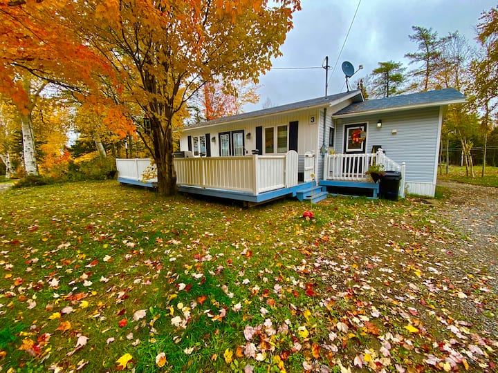 Top 5 Cabin Rentals Near Gander, Canada Updated 2024 Trip101