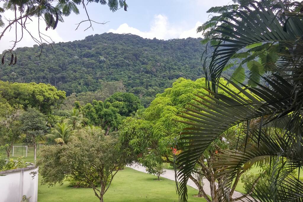 View from master bedroom