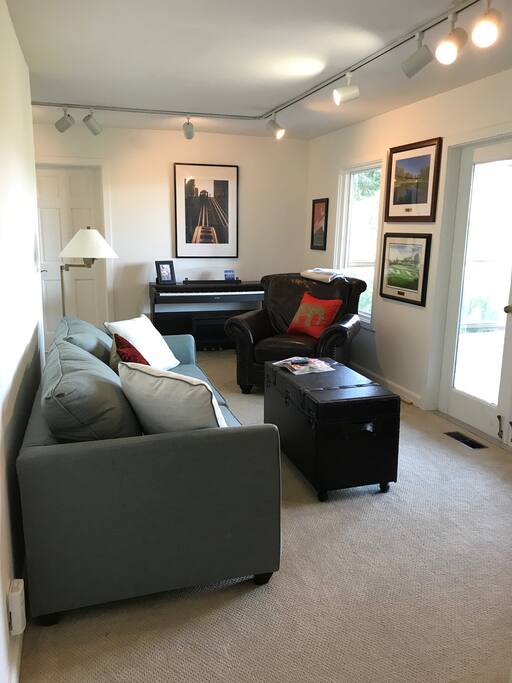 Private Living Room - brand new pull-out couch