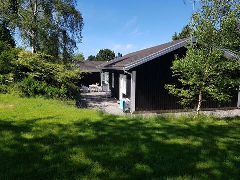 Danish Summer House Delight