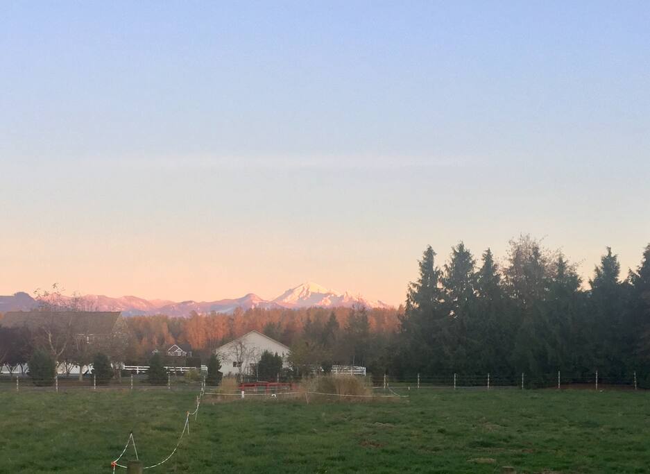 View from apartment