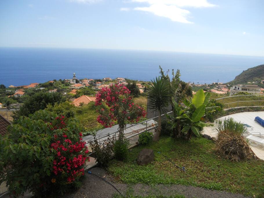 View from the house to the right