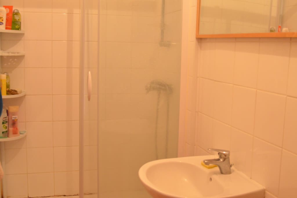 La salle de bain avec douche
