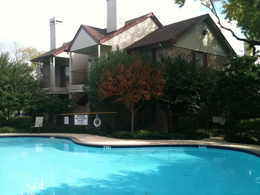 Swimming pool for guests