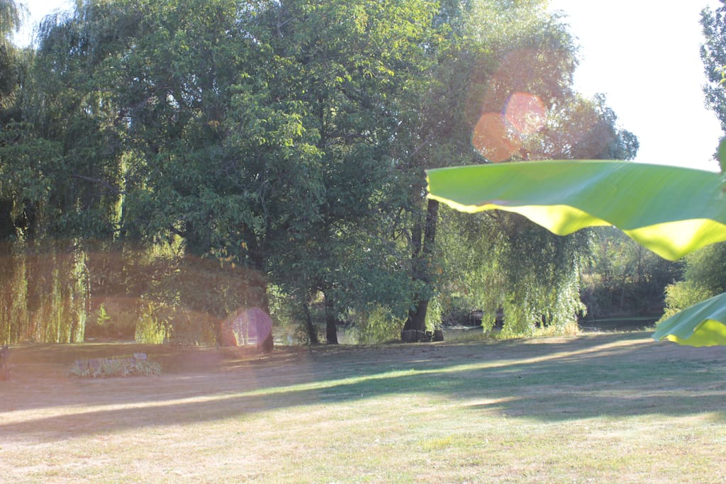 Cours. Garden