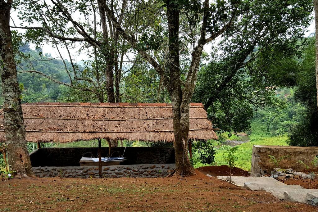 Nature's hut