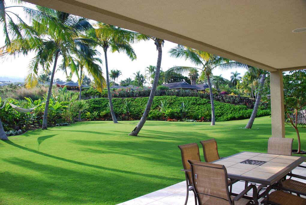 Yard view from lanai
