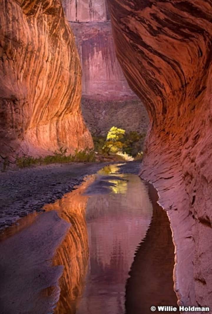 Narrows