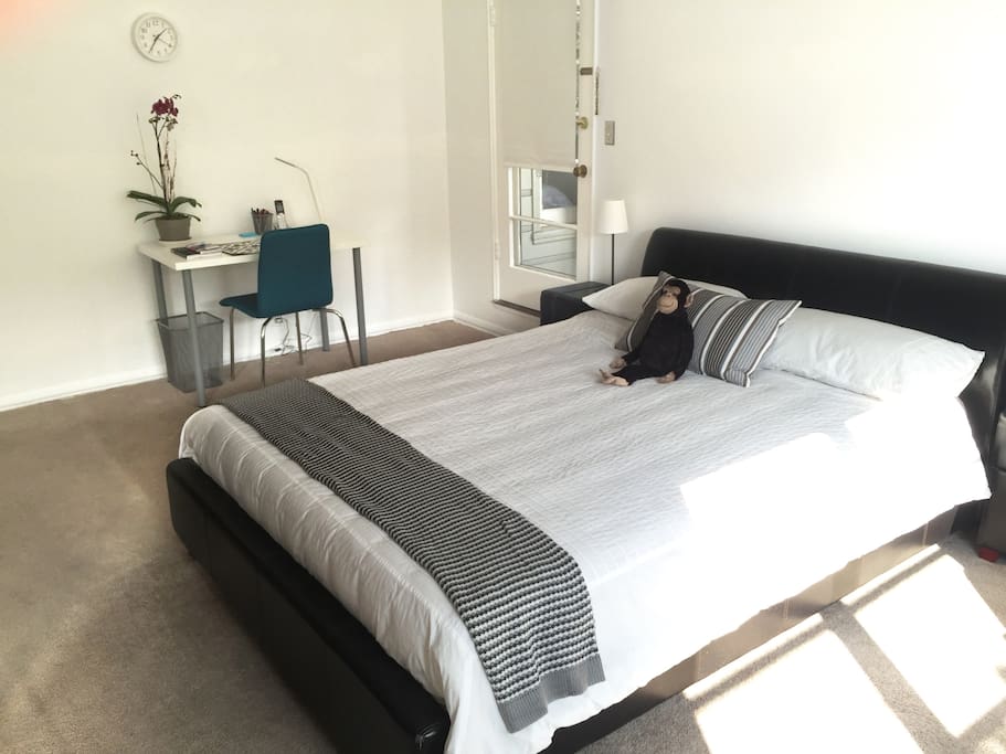 Bed, desk and windows.
