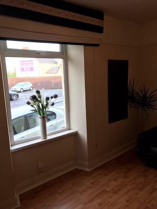Living Room Window