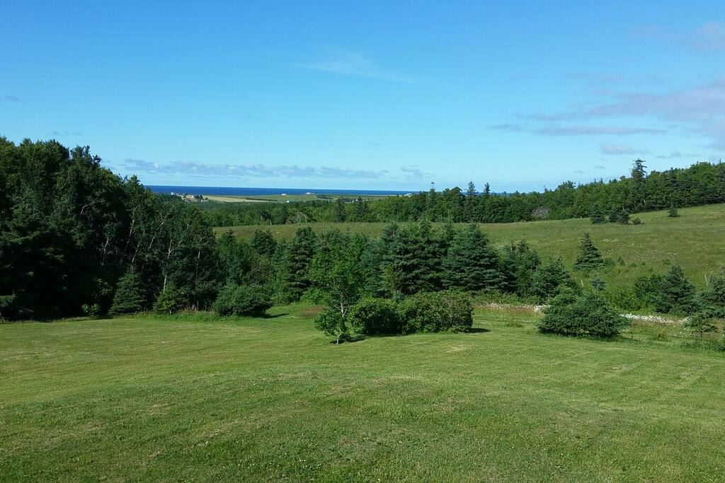 View looking off the front of the deck/house