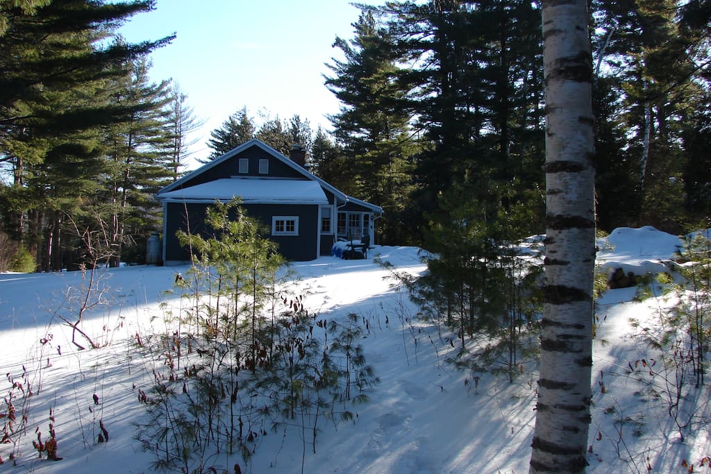 View from the back yard