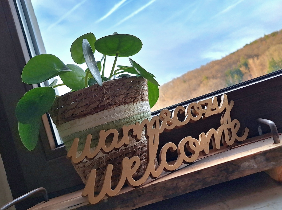 A potted plant with round leaves rests in a woven basket, positioned near a window. A wooden sign reading 'warm & cozy welcome' is placed in front, with a natural landscape visible outside, showcasing trees under a clear blue sky.