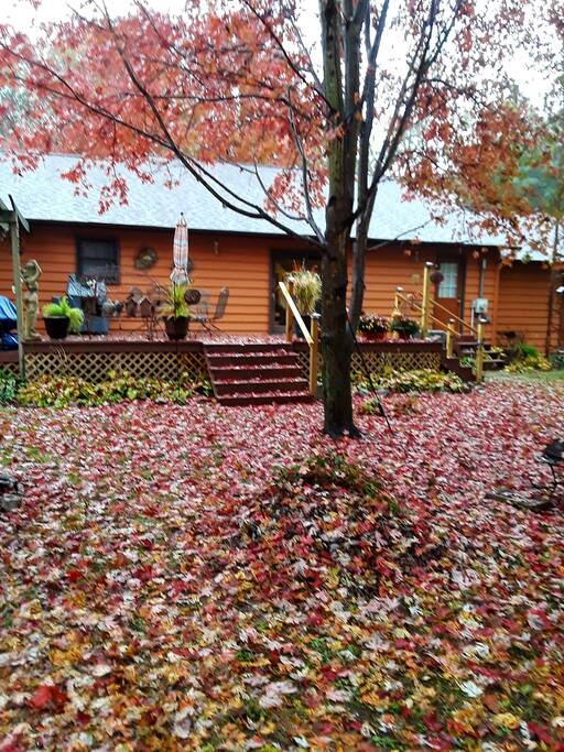 The colors of fall