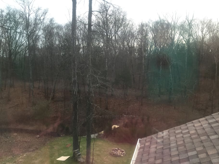 view from suite