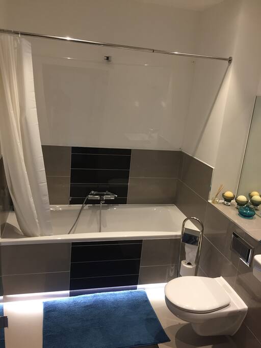 Private Bathroom (only guest can use)