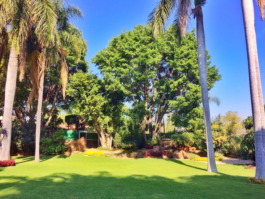 Jardín /backyard