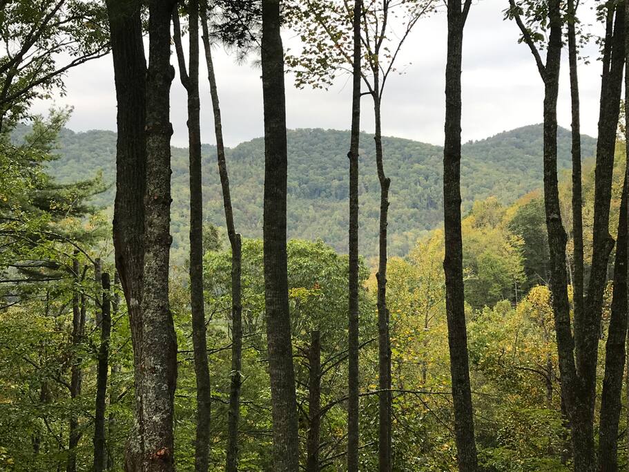 Gorgeous mountain views from Deck