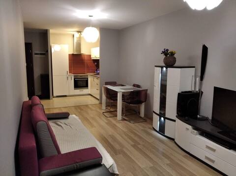 Top Airbnb: A cozy apartment on the suburbs of Katowice. in Szopienice Burowiec