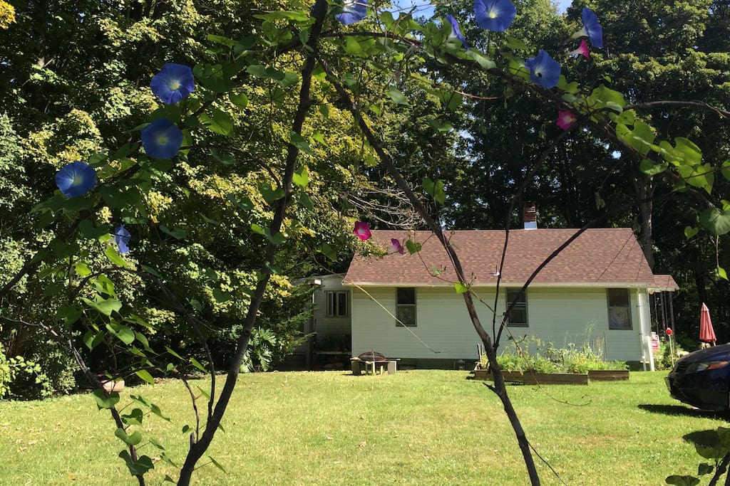 Private, Cozy Apartment in Central Berkshires