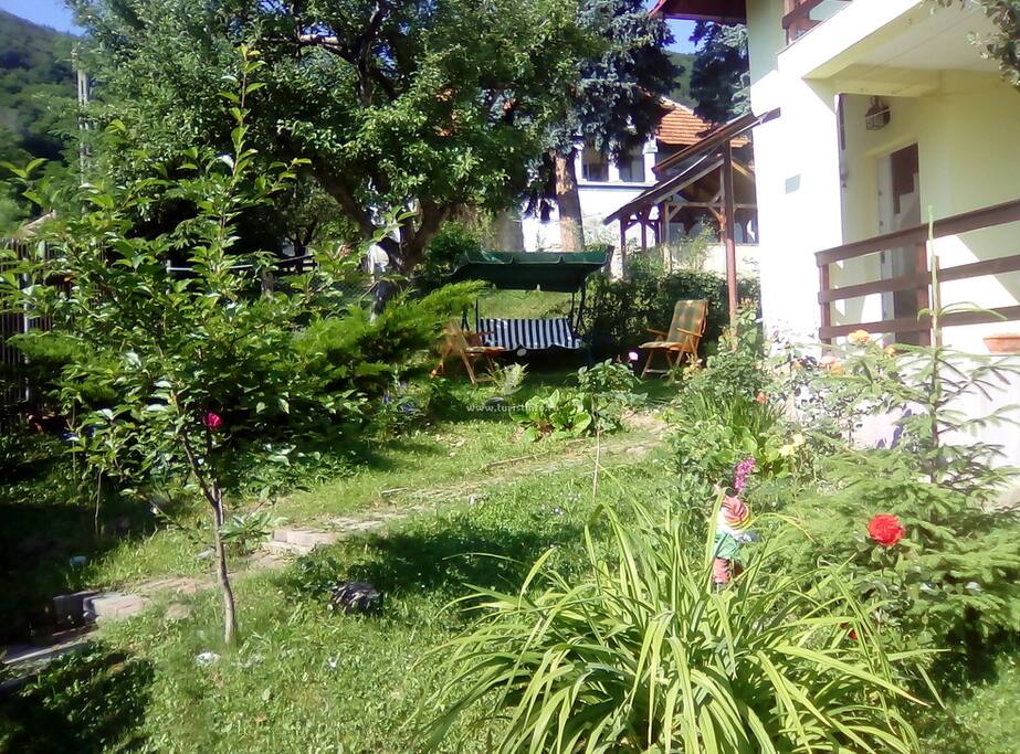 The front yard