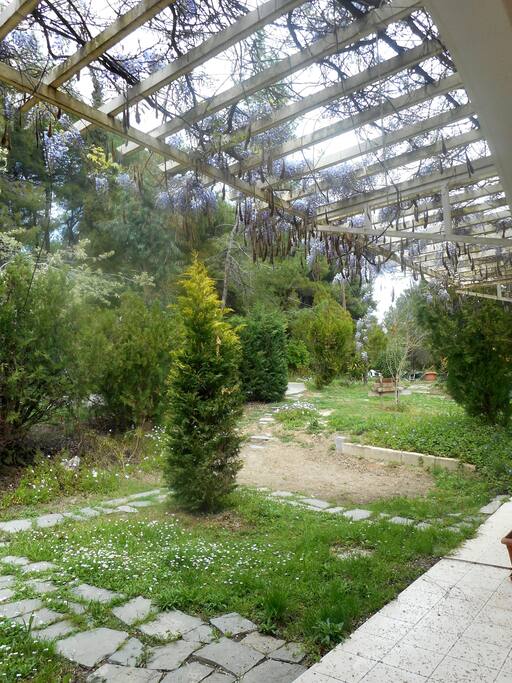 Τα διαμερίσματα, σχεδιασμένα βιοκλιματικά, είναι κτισμένα σε μία έκταση 5 στρεμμάτων με οργανωμένο κήπο, οπωροφόρα δέντρα και χώρο για παιχνίδι. Παρέχουν μια ευχάριστη θερινή διαμονή στο ιδιαίτερο δροσερό και αναζωογονητικό μικροκλίμα του διπλανού πευκόδασους, απέχοντας 700μ από την παρθένα παραλία της Κουτσουπιάς και το μονοπάτι Ε9 που οδηγεί στη Σίβηρη και 1500μ από τις οργανωμένες παραλίες, τη μαρίνα με τα καταστήματα και εστιατόρια του ξενοδοχείου Sani Resort.