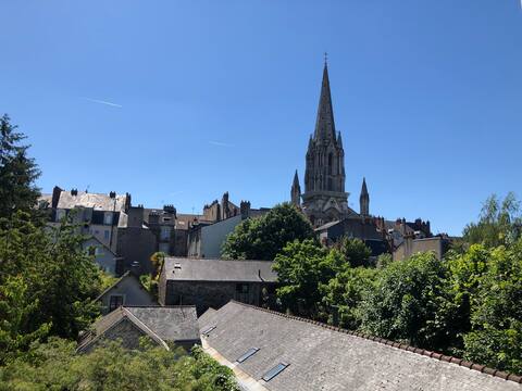 Bel Appartement avec jardinet au coeur de Nantes