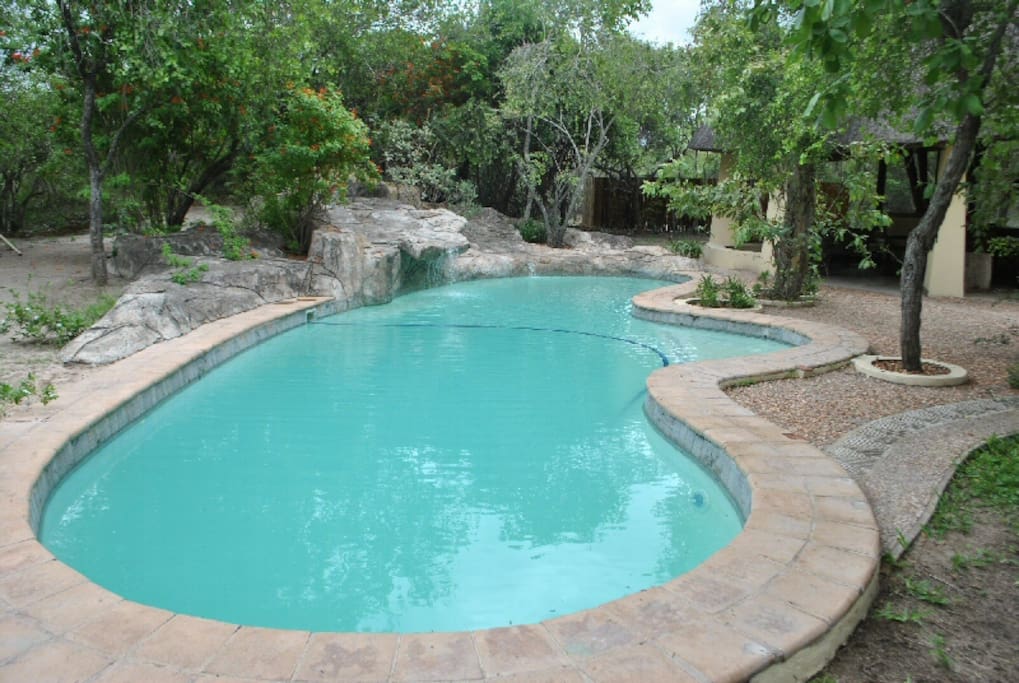 Swimming pool with waterfall feature
