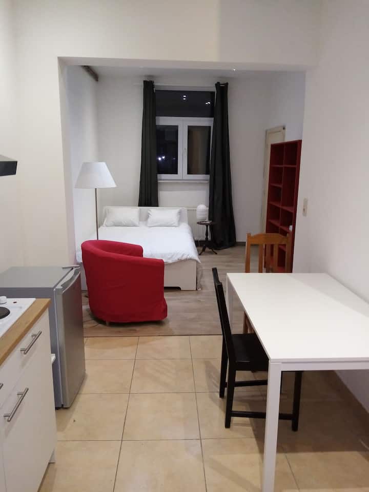 Brussels Vacation Rentals Apartments and More Airbnb